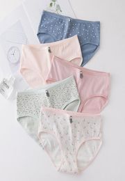 2020 Cotton Panties 4pcs Teenage Briefs Print Underpants Dot Girl Underwear Girl Panties Kids Underwear5663809