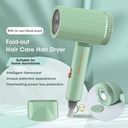 Fold Hair Dryer Hairdryer Blow Dryer Constant Temperature Hair Care Portable Jasmine Fragrance Hair Dryer for Travel Household240227