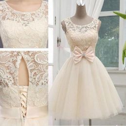 2019 Champagne New Arrival Short Wedding Dresses bridesmaid dresses Knee Length Tulle Wedding Gown Laceup With Bow custom4996998