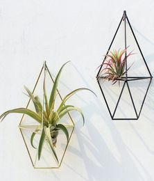 Metal Pastoral Wall standing Hanging Tillandsia Air Plants Rack Rustic Wrought Geometric Tripod Air Plant Holder5534446