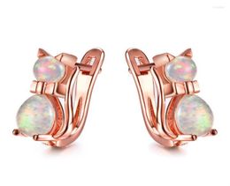 Hoop Earrings White Blue Pink Purple Opal Cute Small Cat Dainty For Women Vintage Rose Gold Silver Colour Animal Earring7780855