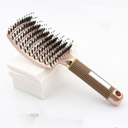 Hair Brushes Ship Wholesales Women Hair Scalp Mas Comb Bristle Nylon Hairbrush Wet Curly De Hairs Brushes For Salon Hairdressing Styli Dhnqe