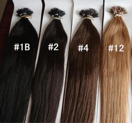 100g 18inch 20inch 22inch 24inc REMY MICRO NANO RINGS Hair Extensions 100 Indian Human Hair Extensions1703495