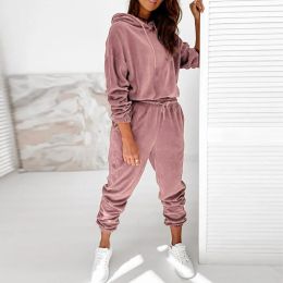 Suits Autumn Winter Velour Tracksuit Women Velvet Set Woman Tracksuit Sets Winter Velvet Suit Two Piece Set Solid Colour Hooded Suit