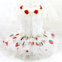 Dog Apparel Clothes Pet Supplies Princess Dress White Soft Cotton Lace Hepburn Style Lady Sweet Strawberry Multi Layer Skirt One Piece