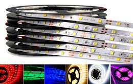 led strip 5m roll Decoration light SMD5050 3528 5630 IP65 IP20 Led Strips Light Warm Pure White Red Green RGB Flexible strip 300 L5121784