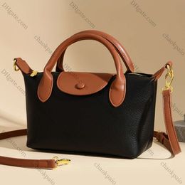 Trendy Niche Longxiang Bag 2023 Soft Leather Pattern Colour Matching Small Wing Bag Versatile Handheld Single Shoulder Diagonal Cross Womens Bag