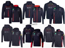 Men's Hoodies Sweatshirts Customizable F1 Racing Spring/Autumn Outdoor Team Hoodie