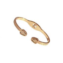 bangles size 17 to 19 bangle Jewellery 2 styles bangles 18k gold silver jewlry serpent bangles snake bangle jewellry serpentine design shape gifts sets box