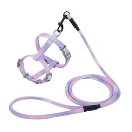 Cat Harness and Leash Set Cats Escape Proof - Adjustable Harness for Cats Dogs Lightweight Soft Walking Travel Petsafe Harness 240229