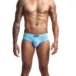 Underpants Men Underwear Sexy Briefs Breathable Mens Slip Cuecas Male Panties U Convex Pouch Bikini