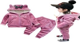 Winter Thick Warm Girls Clothing Set Plush Cotton Suit For Baby Girl Heavy Withstand The Severe Cold Toddler Children Clothes 21086951652