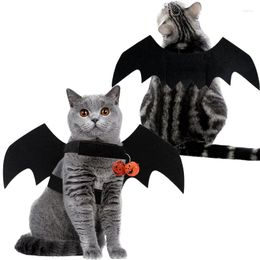 Cat Costumes Pet Halloween Costume Bat Wings For Cats And Dogs Cosplay Prop Accessories Funny Dog