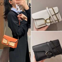 Fashion Designer Handbag New Mini Tabby Chain Wine God Bag Flipped Envelope Colored Small Square Single Shoulder Crossbody for Women