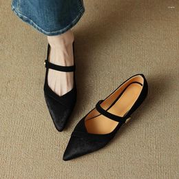 Casual Shoes Spring Women Pumps Horse Hair For Pointed Toe Chunky Heel Elegant Mary Janes Low Sheep Suede