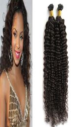 Natural Colour brazilian kinky curly hair keratin stick tip hair extensions 100s pre bonded curly keratin bond hair extensions 100g9862850