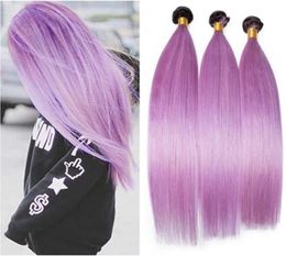Silky Straight 1BPurple Ombre Peruvian Human Hair Weaves Extensions Dark Root Light Purple Ombre Virgin Hair Bundles Deals 3Pcs 6563568