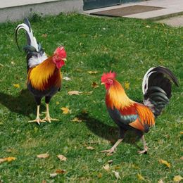 Garden Decorations Fashion Stake Realistic Looking Bright Color Yard Art Sculpture Cock Pattern Ground Welcome Sign