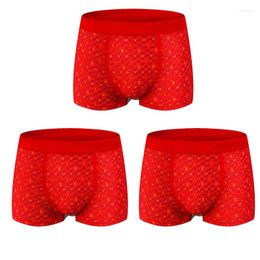 Underpants Men's Underwear Youth Boxer Shorts 3PCS