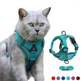 Escape Proof Breathable Harness and Leash for Pets Easy Control Outdoor Walking Dog Leash Reflective Harness 240229