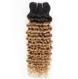 Indian Deep Wave Curly Hair Weave Bundles 1B27 Ombre Honey Blonde Two Tone 1 Bundles 1024 inch Peruvian Malaysian Human Hair Ext1125807