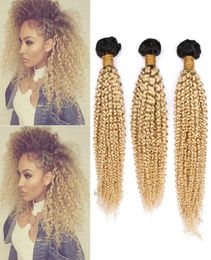 Blonde Ombre Brazilian Human Hair Weave Bundles 3Pcs Lot Kinky Curly 1B613 Blonde Ombre Virgin Human Hair Wefts 1030quot Mixe9671578