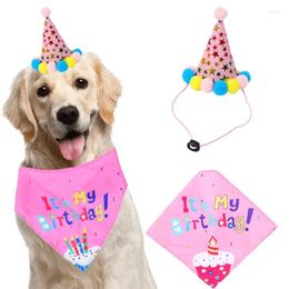 Dog Apparel Pet Birthday Party Set Bandana Hat Bowtie Supplies For Festival Celebrating Products All Pets Puppy Cats