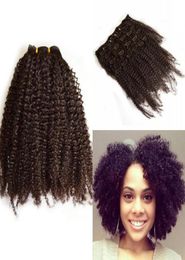 Peruvian Hair Afro Kinky Curly Clip In Human Hair Extension for Black Women 7 Pcsset FDSHINE HAIR3143381