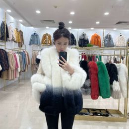 2023 Winter New Fox Collar Short Haining Fashion Fur Integrated Youth Coat Women's Edition 534597