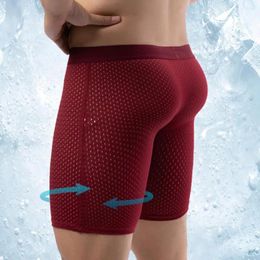 Underpants Men Breathable Briefs Summer Sport Underwear Men's High Elasticity Ice Silk Panties For Quick Drying