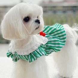 Dog Apparel Summer Cute Dress Chihuahua Puppy Costume Yorkie Pomeranian Bichon Poodle Schnauzer Clothing Clothes