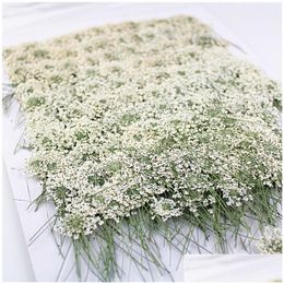 Decorative Flowers & Wreaths 100Pcs Pressed White Lace Flowers With Stem Nature Real Flower For Diy Wedding Invitation Art Bookmark Gi Dhlgn