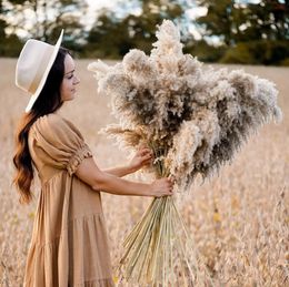 12 Pcs Large Dried Pampas Grass Decor Tall 60cm Boho Pompas Floral for Arrangements Home Wedding Yard Party Pography 240223