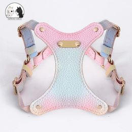 Summer PU Leather Cat Harness 120cm Leash Outdoor Cat Dog Harness and Leash Set Water Proof Vest Chest Strap Kitten Accessories 240229