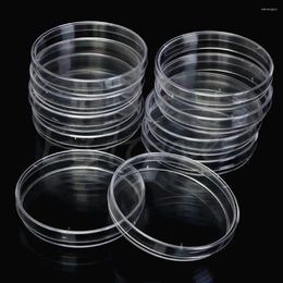 Storage Bottles Supplies 55x15mm Plastic Transparent With Lids Petri Dishes Sterile Clear Dish Bacteria Culture
