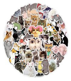 car 50Pcs Cartoon Cute Cat Sticker Skateboard Graffiti Pack Water Bottle Car Stickers Laptop Decal Motor Luggage Bike Non7438773