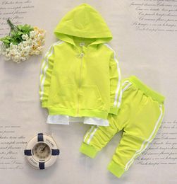 Spring Baby Casual Tracksuit Children Boy Girl Cotton Zipper Jacket Pants Baby Boy Clothes Kids Leisure Sport Suit Infant Clothing5022884