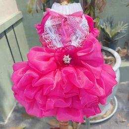 Dog Apparel Luxury Rose Pink Pet Clothes Fashion Handmade Lace Bow Wedding Dresses For Small Medium Dogs Princess Skirts Puppy Coat