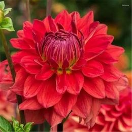 Decorative Flowers Artificial Plants Rose Big Flower European Dahlia Home Garden Decorate