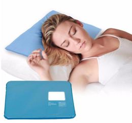 Summer Chillow Therapy Insert Sleeping Aid Pad Mat Muscle Relief Cooling Gel Pillow Ice Pad Massager No Box8765679