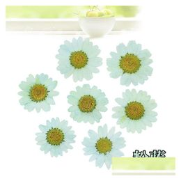 Decorative Flowers & Wreaths 120Pcs Pressed Press Dried Daisy Dry Flower Plants For Epoxy Resin Pendant Necklace Jewelry Making Craft Dhfpq