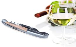 Professional Stainless Steel Allinone Corkscrew Bottle Wine Opener and Foil Cutter For Sommeliers Waiters and Bartenders7598607