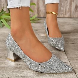 Silver Glitter Thick Heels Pump Luxury Pointed Toe Party Wedding Shoes Woman Plus Size 42 Shallow High Pumps Ladies 240301