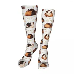 Men's Socks Guinea Pigs Pattern Novelty Ankle Unisex Mid-Calf Thick Knit Soft Casual