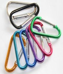 Carabiner Ring Keyrings Key Chain Outdoor Sports Camp Snap Clip Hook Keychains Hiking Aluminium Metal Stainless Steel Hiking Campin6733766