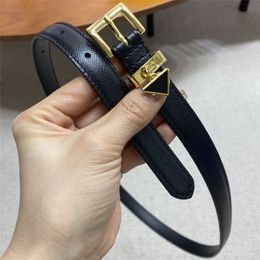 Small Gold Buckle Belts For Women Designer Fashion Belt Brand Letters Saffiano Genuine Leather Belts High Quality Waistband 6 Colo242q