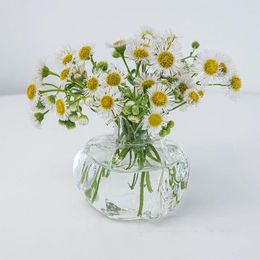 Vases Flower Vase For Home Decor Glass Floral Terrarium Containers Table Ornaments Desktop Nordic