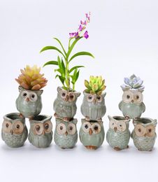 Cartoon OwlShaped Flower Pots Succulents Plants Flowerpot Ceramic Mini Home Accessories Garden Office Owl Flowerpot Decoration BH7941199