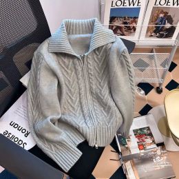 Jackets Grey Texture Zippered Sweater Outerwear for Women Autumn and Winter Design Sense Small Group Wearing Lazy Style Knitted Cardigan