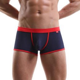 Underpants Men's Sexy Underwear Mesh Breathable Pants Boxer Cuecas Masculina Boxershorts Man Panties Homme 2024